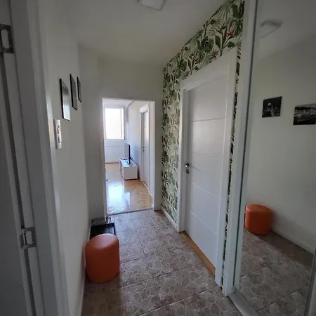 Grey * Bělehrad